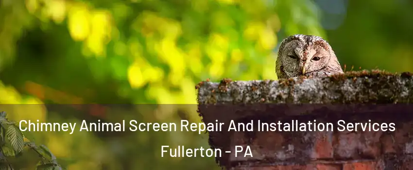  Chimney Animal Screen Repair And Installation Services Fullerton - PA