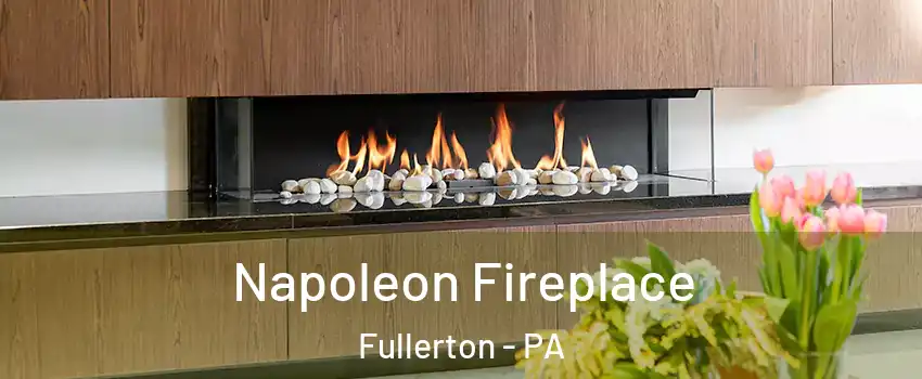  Napoleon Fireplace Fullerton - PA